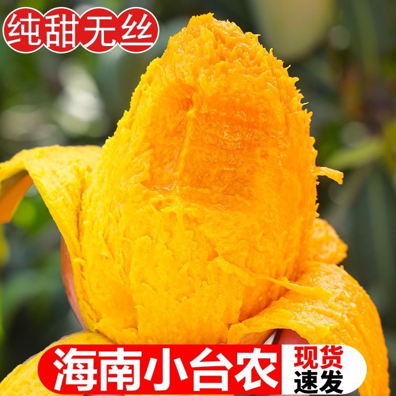 海南小台农芒果10斤新鲜大台芒应季鸡蛋芒水果现摘整箱3斤大果 水产肉类/新鲜蔬果/熟食 芒果 原图主图