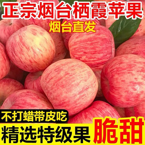 正宗烟台红富士苹果山东当季优质好果新鲜水果脆甜健康整箱批发