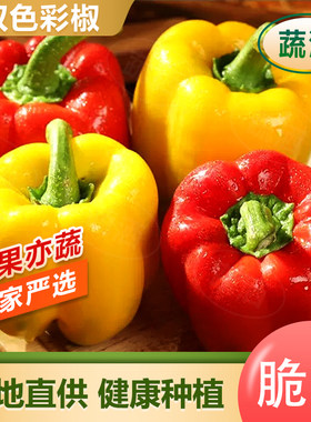 七彩辣椒五彩椒水果灯笼红辣椒新鲜小米椒甜朝天圆椒蔬菜青椒山东