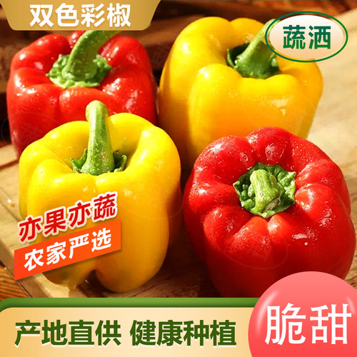 七彩辣椒五彩椒水果灯笼红辣椒新鲜小米椒甜朝天圆椒蔬菜青椒山东