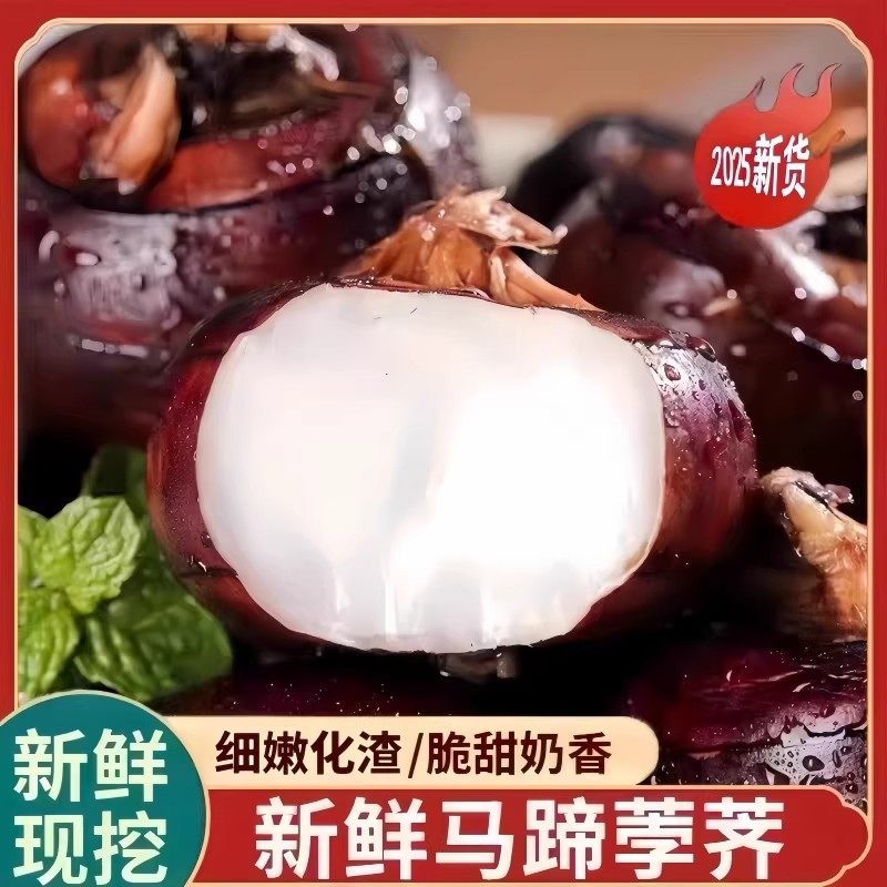 新鲜马蹄荸荠地栗地梨农家自种5斤现挖应季水果蔬菜生吃脆甜多汁,水产肉类/新鲜蔬果/熟食,荸荠/马蹄,淘宝优惠券,粉丝福利购,淘宝优惠卷
