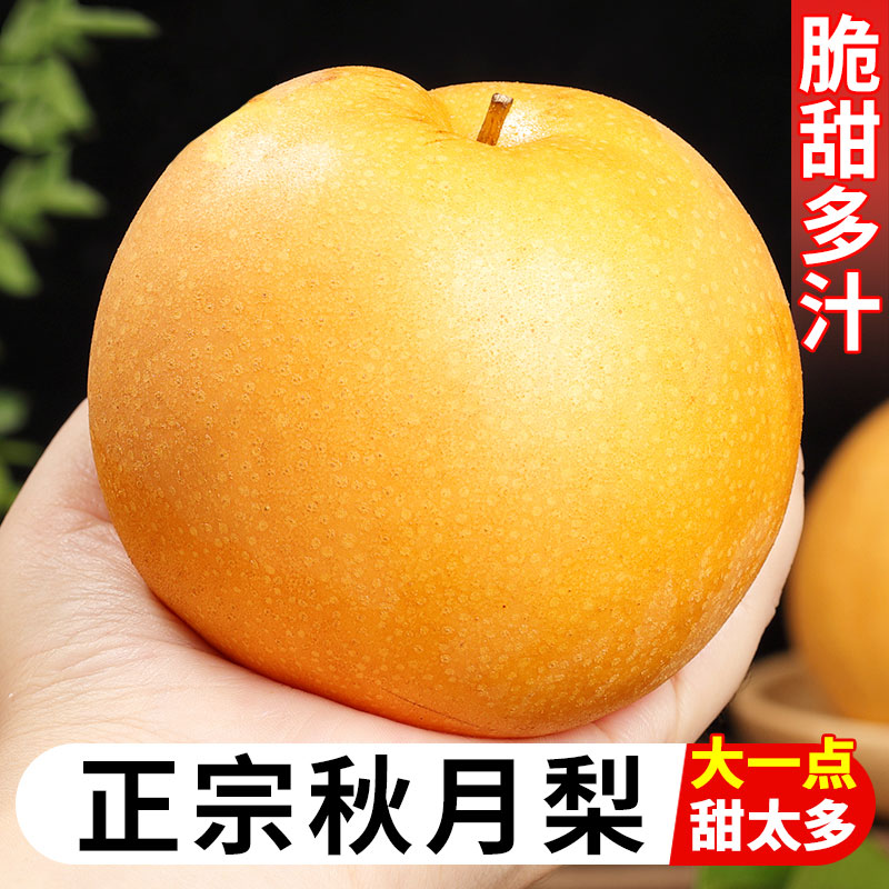 正宗山东莱阳秋月梨新鲜水果应季当季新鲜整箱包邮黄皮梨子