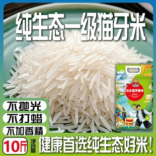 广西正宗壮乡一级猫牙香米农家生态丝苗米长粒香新米10斤优质大米