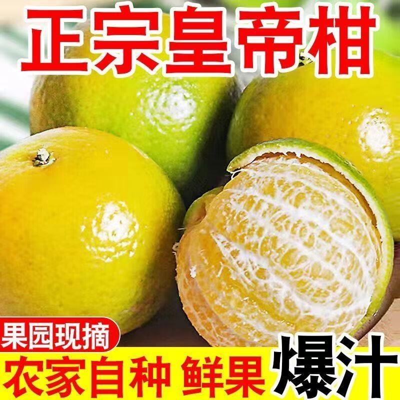 皇帝柑广西贡柑超甜薄皮鲜果