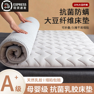 床垫软垫加厚保暖家用冬季垫被