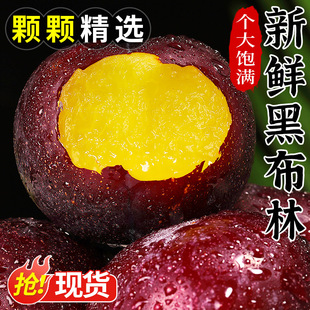 李子新鲜水果黑布林大现摘正宗红肉黄心黑布李纯甜黑宝石鲜果当季