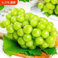 当季水果阳光玫瑰葡萄5斤