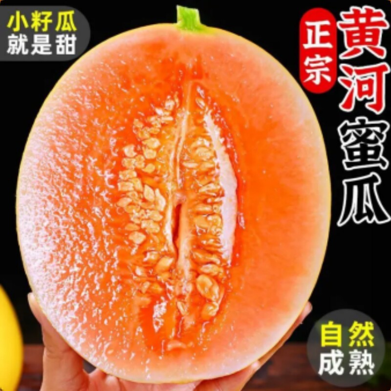陕西黄河蜜甜瓜当季新鲜水果沙漠黄金蜜瓜哈密瓜脆甜香瓜正宗整箱