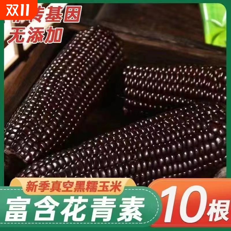 整箱10根黑玉米【甜糯大黑玉米】代餐早餐粗粮甜糯玉米即食宝宝吃