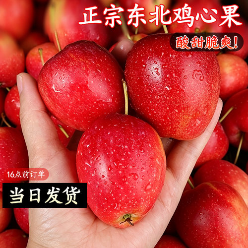 【正宗东北鸡心果】产地直发