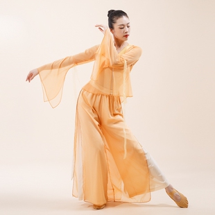 古典舞服装女飘逸仙气上衣表演出服中国舞古风身韵纱衣练功服