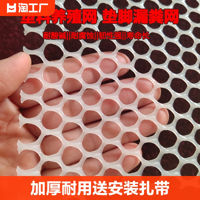 塑料平网养殖网加厚小孔