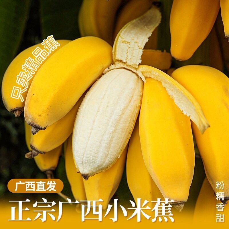 当季新鲜广西小米蕉整箱米蕉应季甜糯薄皮粉蕉水果自然熟青香蕉
