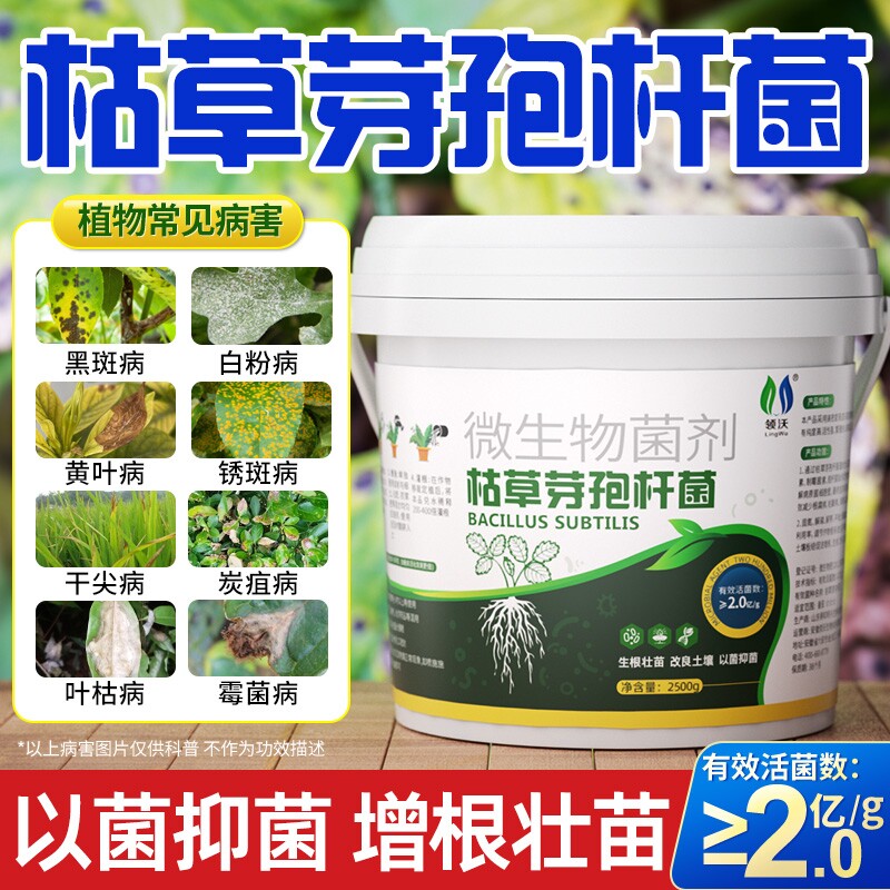 枯草芽孢菌杆菌旗舰店正品微生物菌剂月季桂兰花农用土壤有机肥料