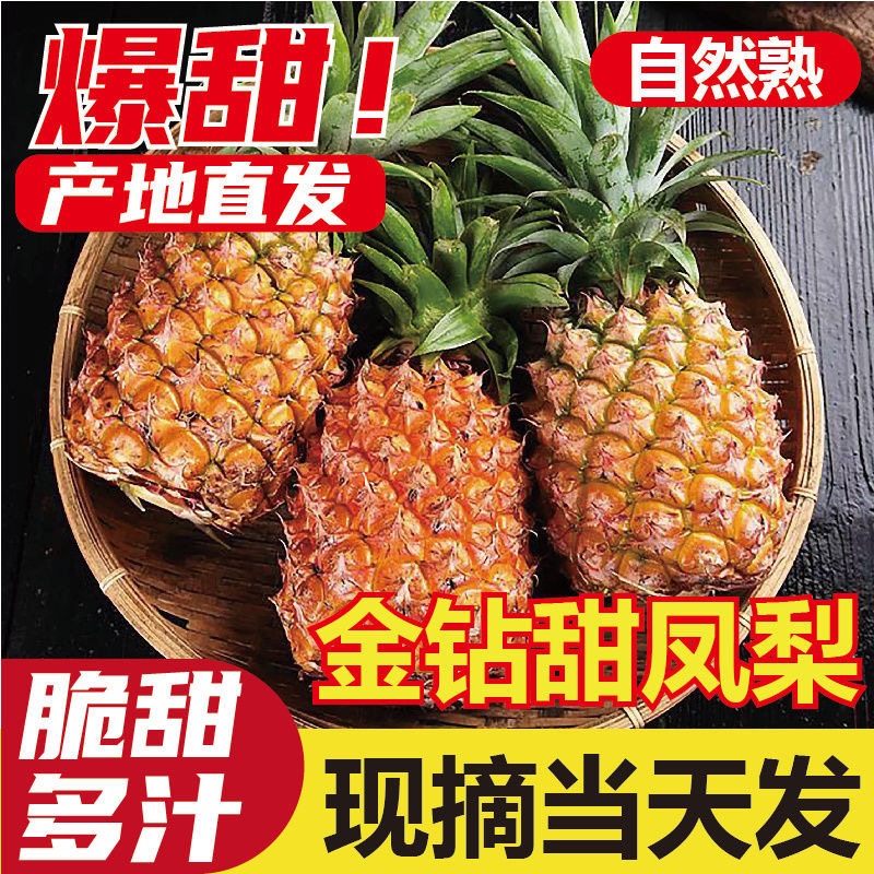 正宗海南新鲜金砖凤梨树上自然熟果香浓郁当季鲜甜多汁大果,水产肉类/新鲜蔬果/熟食,凤梨,淘宝优惠券,粉丝福利购,淘宝优惠卷