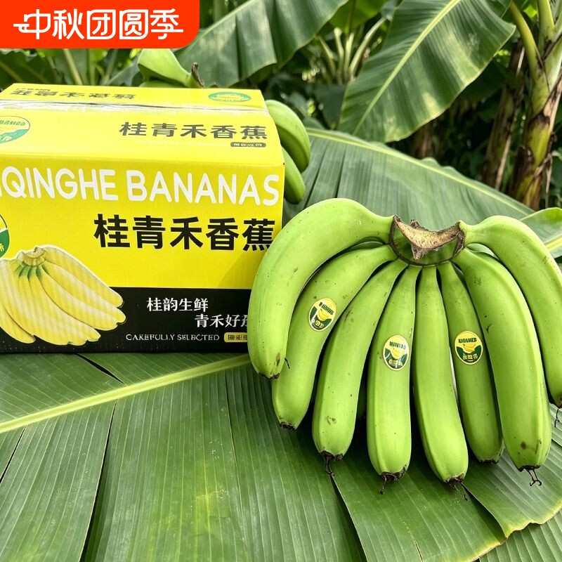 高山青皮甜香蕉新鲜水果自然熟无添加当季现摘现发绿蕉绿色香甜糯