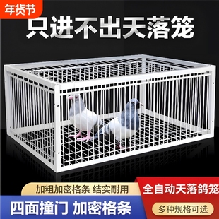 只进不出鸟笼全自动抓收笼子撞门加密天落鸽子神器Y捕笼器捕捉款