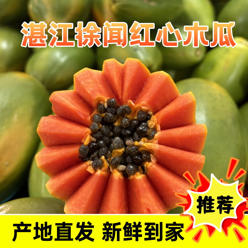 徐闻树上熟红心木瓜牛奶木瓜新鲜水果木瓜牛奶产妇水果现摘直发