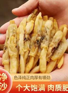 大号蛏子干500g生晒蛏干干货海鲜大全新鲜无沙淡晒山东特产圣子干