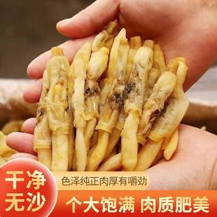 大号蛏子干500g生晒蛏干干货海鲜大全新鲜无沙淡晒山东特产圣子干