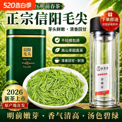 毛尖绿茶信阳毛尖2026新茶雨前高山嫩芽500g浓香耐泡型散装春茶叶