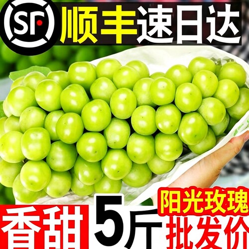 阳光玫瑰葡萄新鲜水果5斤