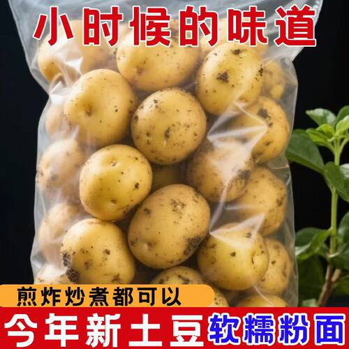 恩施农家自种新鲜小土豆