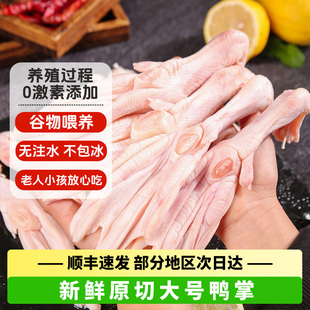 鸭掌生鲜冷冻鸭货带骨鲜鸭掌大号鸭脚鸭爪批发商用速冻火锅食材