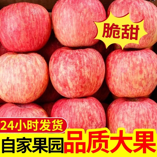 正宗烟台栖霞红富士新鲜脆甜苹果水果山东特产富士苹果整箱包邮