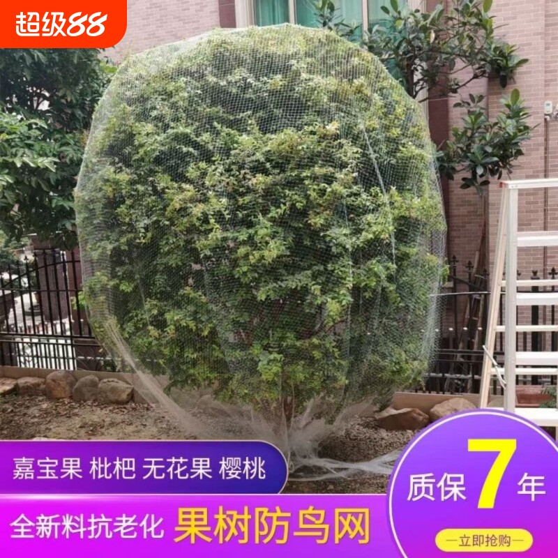 尼龙防鸟网果树果园大棚防护网樱桃树葡萄树鱼塘养殖阳台防鸟神器