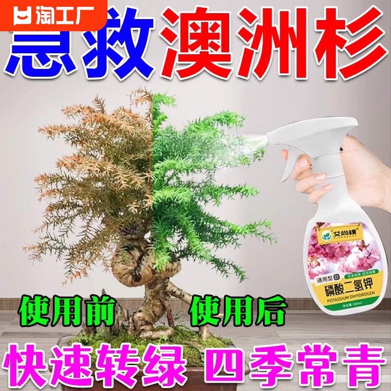 植物通用，品质保证