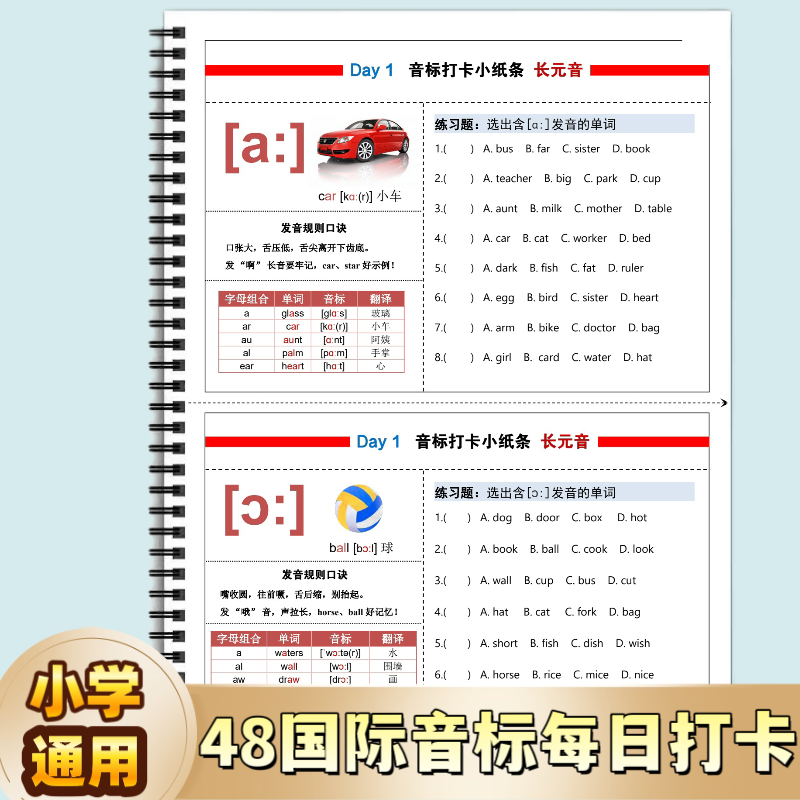 英语48国际音标每日打卡含答案28天彩色小纸条知识练习汇总趣味学发音2025新版