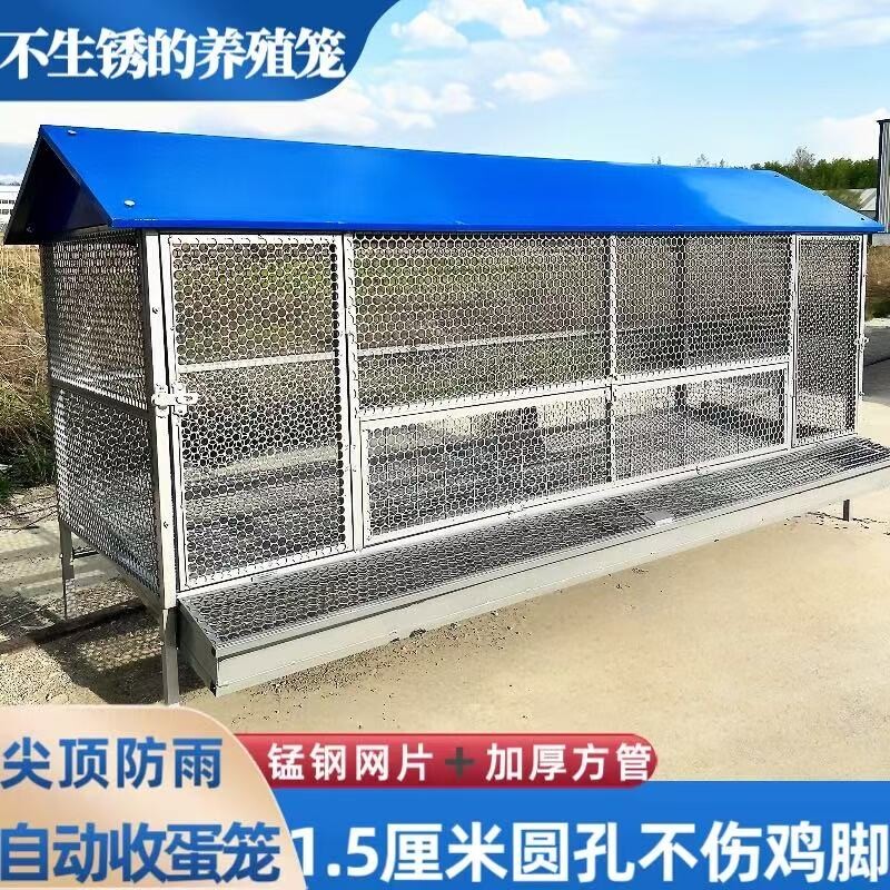 鸡笼子家用室外防雨自动收蛋防啄防加厚养殖笼大型犬黄鼠狼带厕所