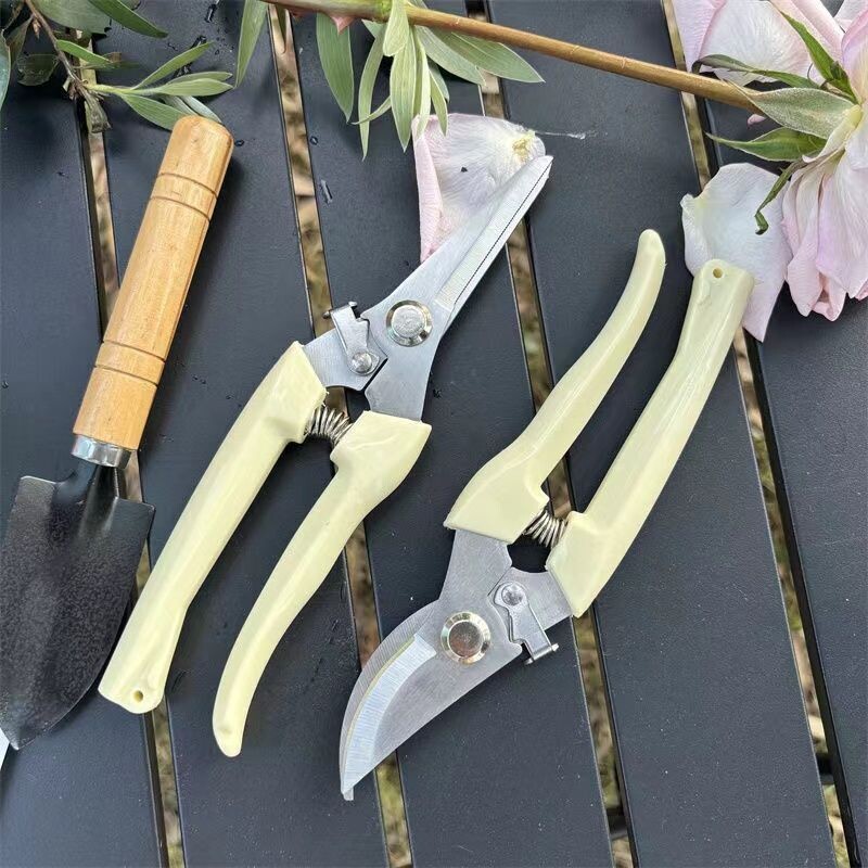 剪刀树枝修剪不锈钢修枝剪多功能园艺果园绿植花枝摘果剪园林工具便携安全