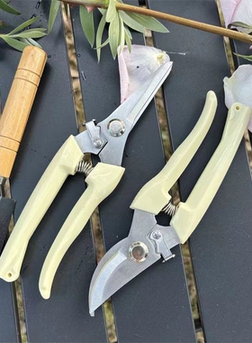 园艺剪刀树枝修剪不锈钢修枝剪多功能果园绿植花枝摘果剪园林工具便携安全