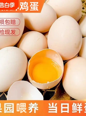 新鲜鸡蛋约50g/枚农家月子蛋新鲜早餐现捡现发谷物喂养