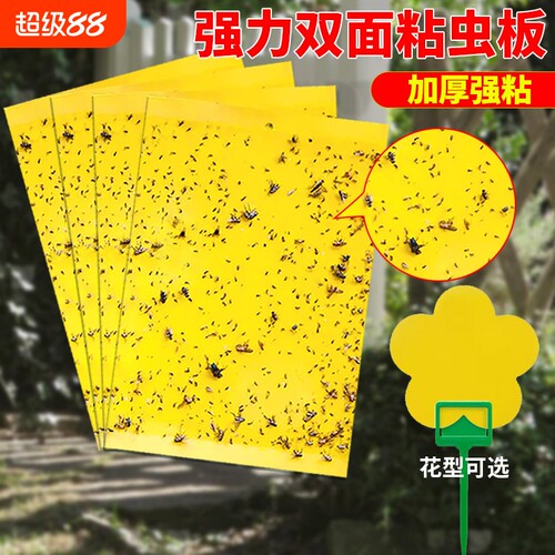 强力双面粘虫板黄板农业蓟马园林小黑飞果树茶园果蝇诱捕器神器
