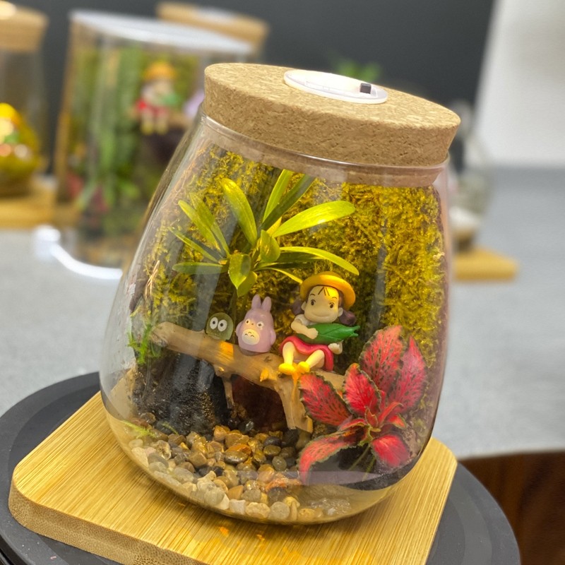 微景观苔藓微景观桌面景观生态瓶创意苔藓植物桌面好养微景观礼品