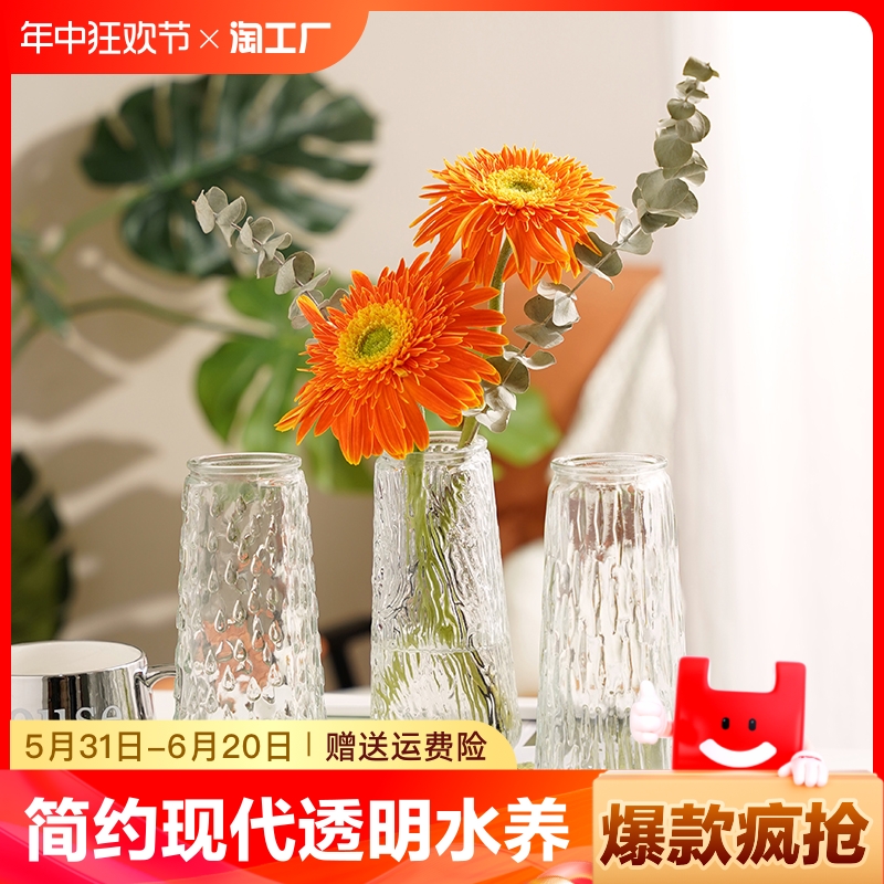 现代透明玻璃花瓶水养绿植水培鲜花插花瓶桌面客厅装饰小摆件台面 家居饰品 花瓶 原图主图