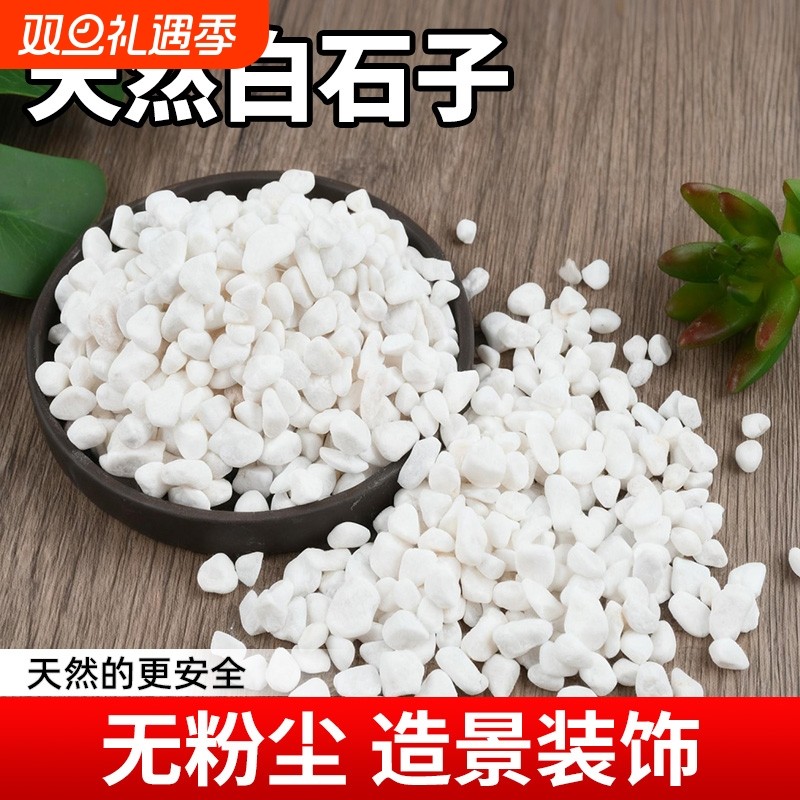 天然精选白石子鱼缸铺底盆栽铺面铺地鹅卵石阳台装饰花园造景石子