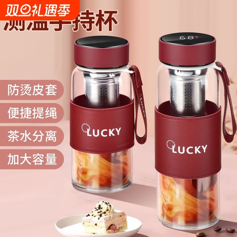 韩式便携办公室车载商务玻璃杯男女带提绳茶仓泡茶杯高硼硅耐热杯