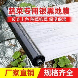 银黑双色地膜加厚覆盖薄膜用黑色种植果树农用草莓保温家用聚乙烯
