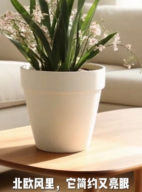 花盆陶瓷家用冬青多肉蝴蝶兰专用绿植兰花透气陶土盆特价新款桌面