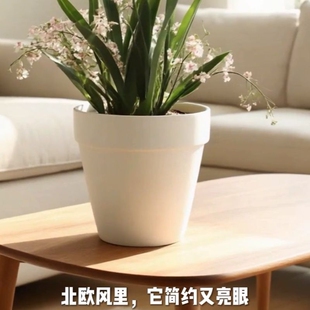 花盆陶瓷家用冬青多肉蝴蝶兰专用绿植兰花透气陶土盆特价桌面种植