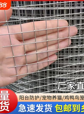 镀锌电焊网加厚防掉养殖护栏网