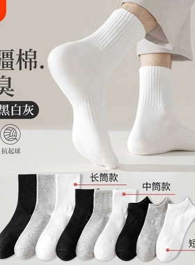 诸暨袜子男士中筒袜春秋棉袜防臭吸汗春短袜白色运动长袜长筒薄款