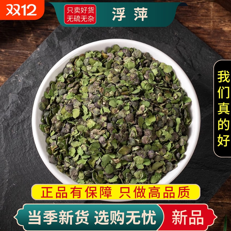 浮萍正品紫背浮萍水浮萍浮萍洗头小浮萍水草