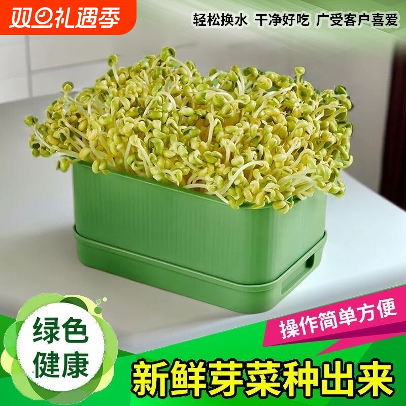 育苗盘种植发芽盆大容量家用豆芽机发豆芽专用盆神器生黄绿豆芽罐