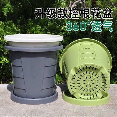 树脂简约控根透气不闷根