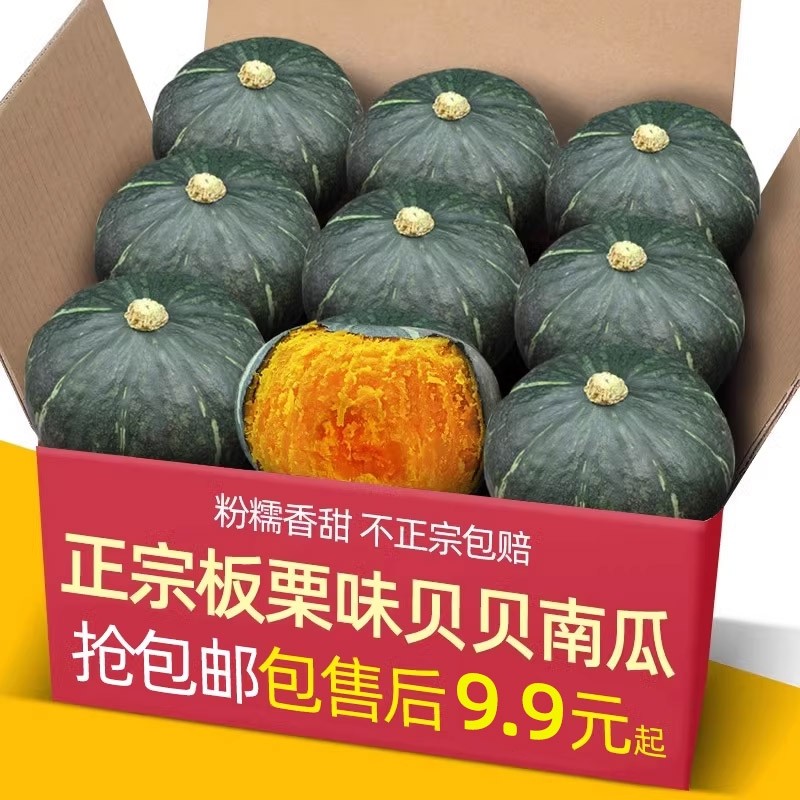 正宗山东寿光甜板栗味贝贝小南瓜5斤新鲜蔬菜老南瓜惠和一号9生鲜,水产肉类/新鲜蔬果/熟食,南瓜,淘宝优惠券,粉丝福利购,淘宝优惠卷